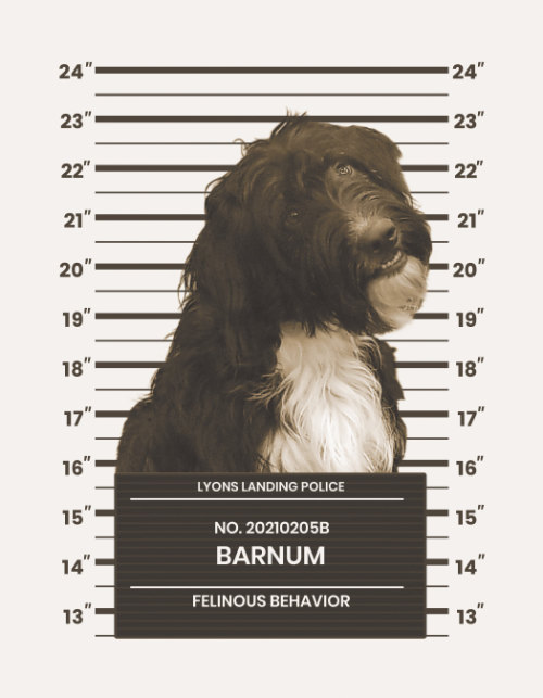 Barnum